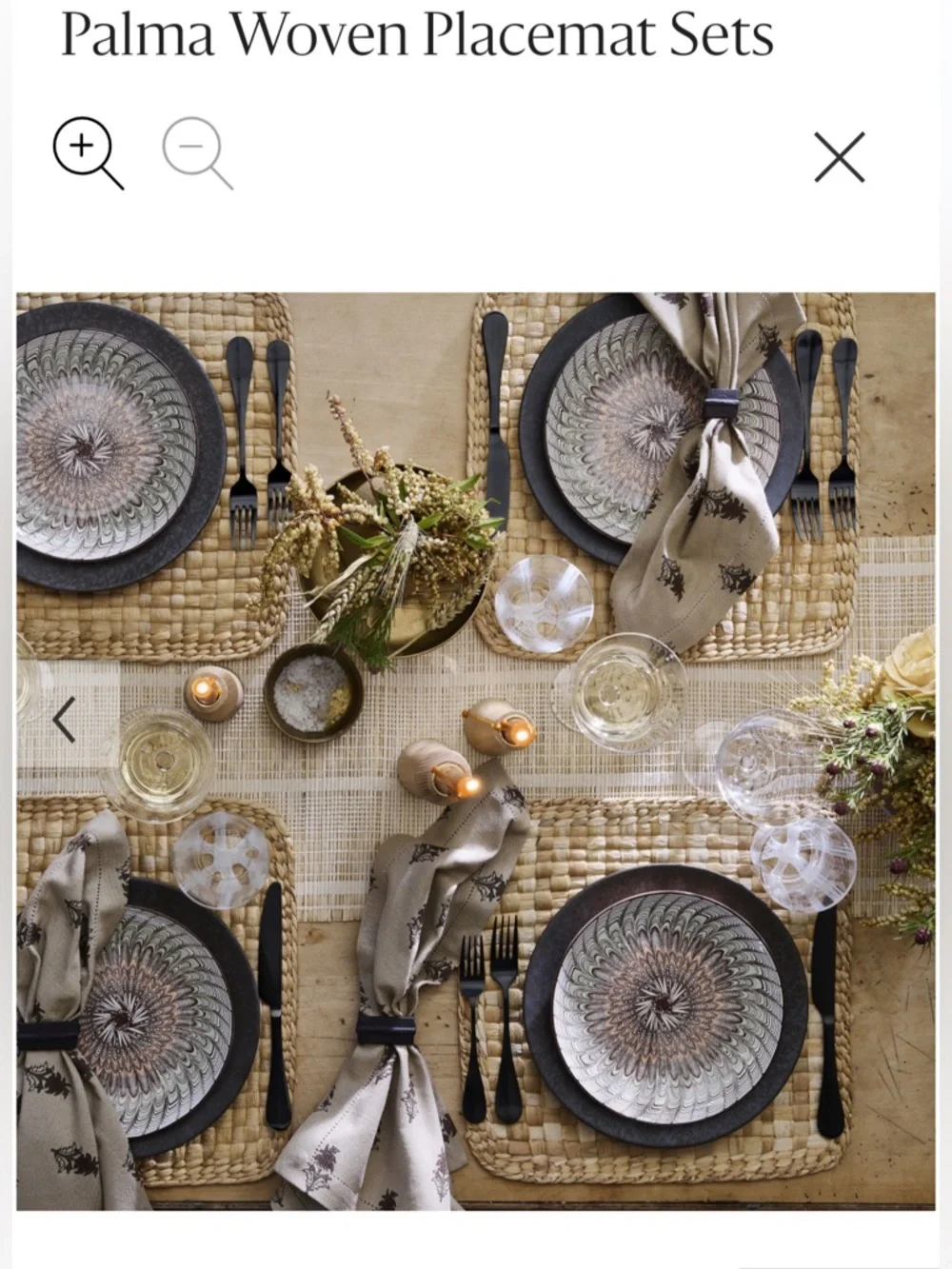 West Elm Palma Woven Place Mats Set of 4 size 15